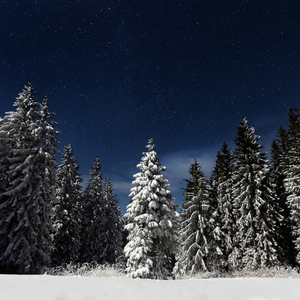 古装剧小男孩脱裤子打屁股
